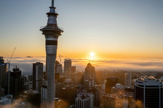 Auckland Highlight Attractions Small Group Tour - Transportation and Group Size