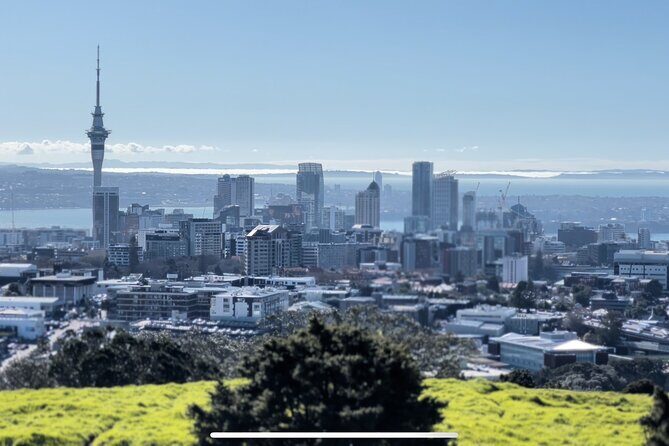 Auckland Highlight Fullday City Tour - A Deep Dive into the Tour Experience