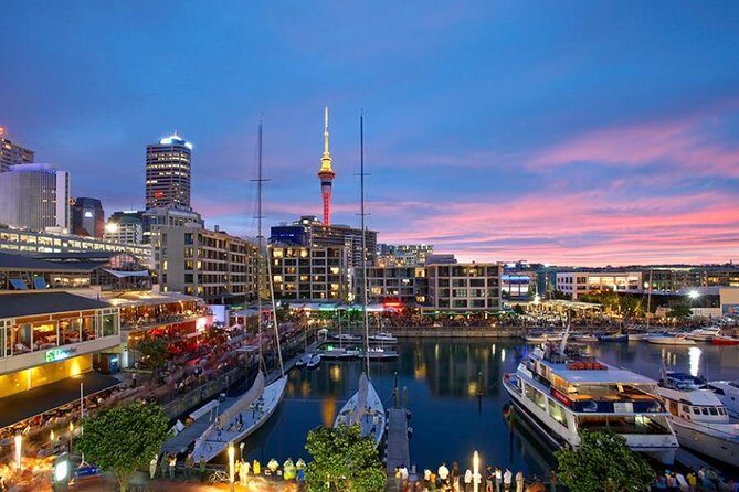 Auckland Highlights 4 Hrs city Tour - An Honest Look at the 4-Hour Auckland City Tour