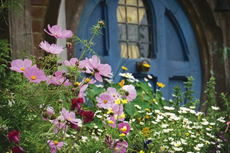 Auckland: Hobbiton and Rotorua Day Tour including Te Puia - What to Expect on the Day