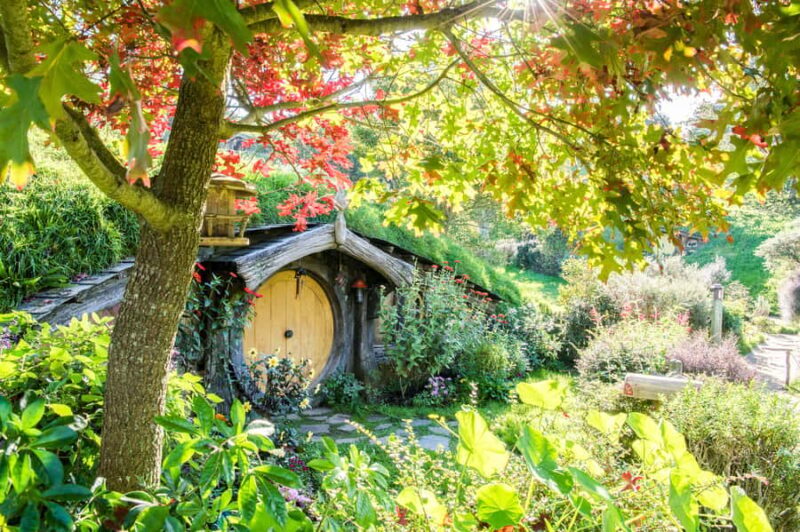 Auckland: Hobbiton Movie Set Tour with Lunch - Inside Hobbiton: What You’ll See and Feel