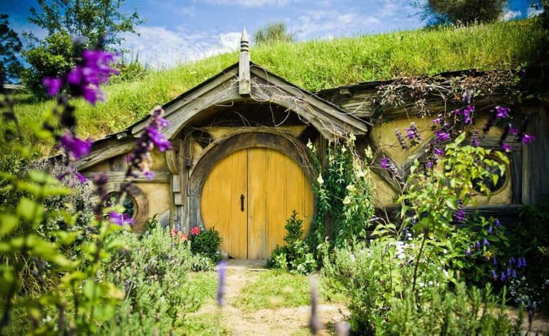 Auckland: Hobbiton Movie Set Tour with Lunch - Who Will Love This Tour?