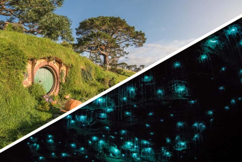 Auckland: Hobbiton & Waitomo Caves Small-Group Tour & Lunch - Key Points
