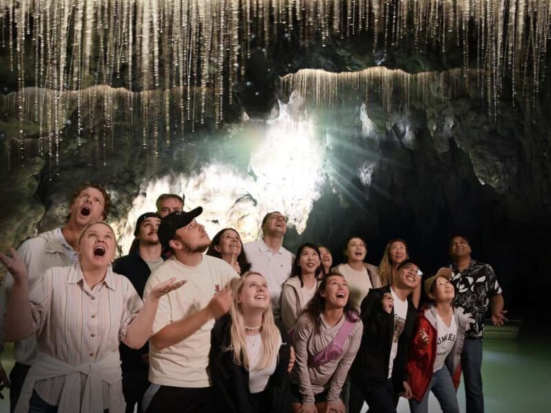 Auckland: Hobbiton & Waitomo Caves Small-Group Tour & Lunch - Final Thoughts