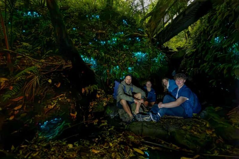 Auckland: Inner-City Glowworm Experience in Ancient Volcano - The Experience From a Traveler’s Perspective