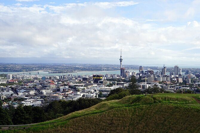 Auckland Museum and Highlight Sightseeing Tour - Who Is This Tour Best For?