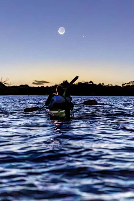 Auckland: Night Kayak Tour in Glowing Bioluminescent Waters - A Magical Night on Auckland’s Waters