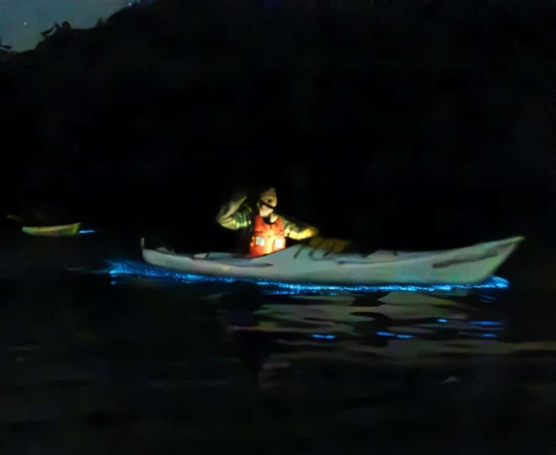 Auckland: Night Kayak Tour in Glowing Bioluminescent Waters - The Cost and Value