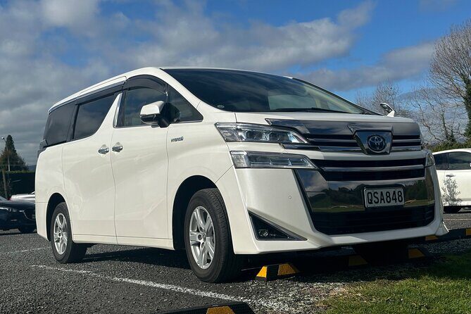 Auckland Private City Highlights Tour 5hrs Sightseeing Experience - How the Tour Works in Practice