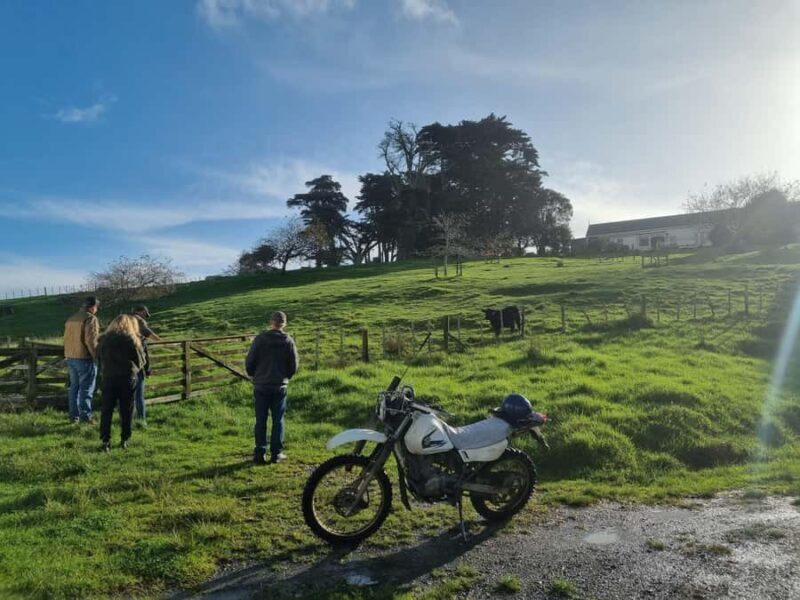 Auckland: Private Sheep & Beef Working Farm Tour - The Rural Lunch Experience