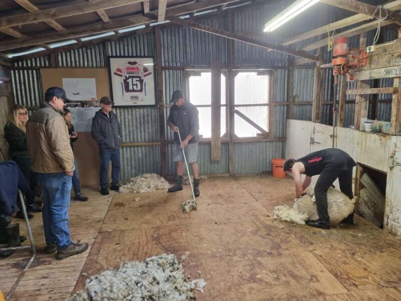 Auckland: Private Sheep & Beef Working Farm Tour - Who Should Consider This Tour?