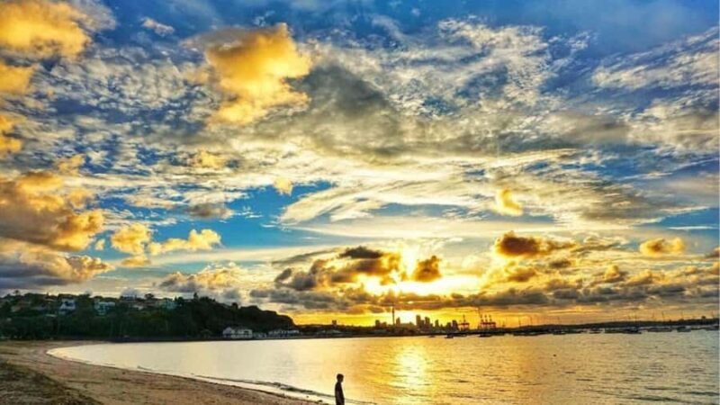 Auckland: Private Sightseeing Full or Half Day Guided Tour - What’s the Value Like?