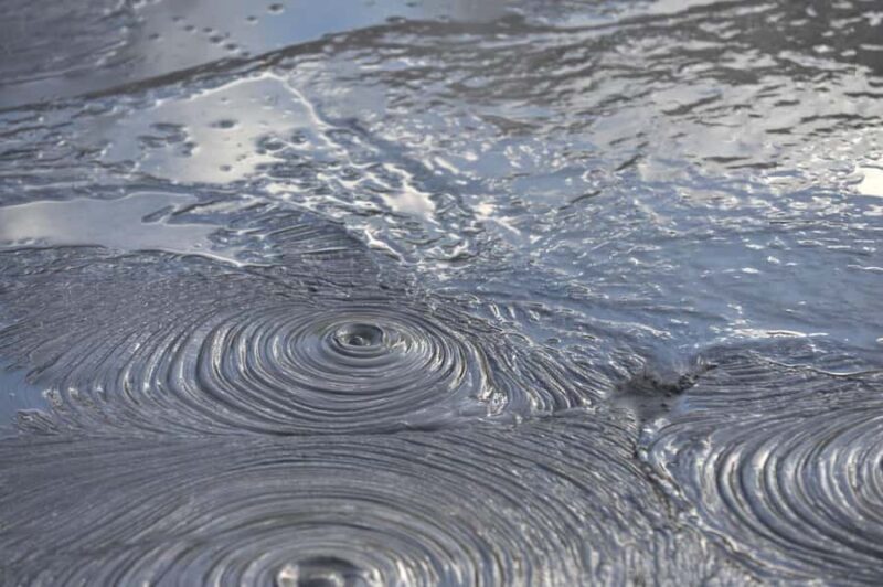 Auckland: Private Tour to Waitomo & Te Puia Valley - Key Points