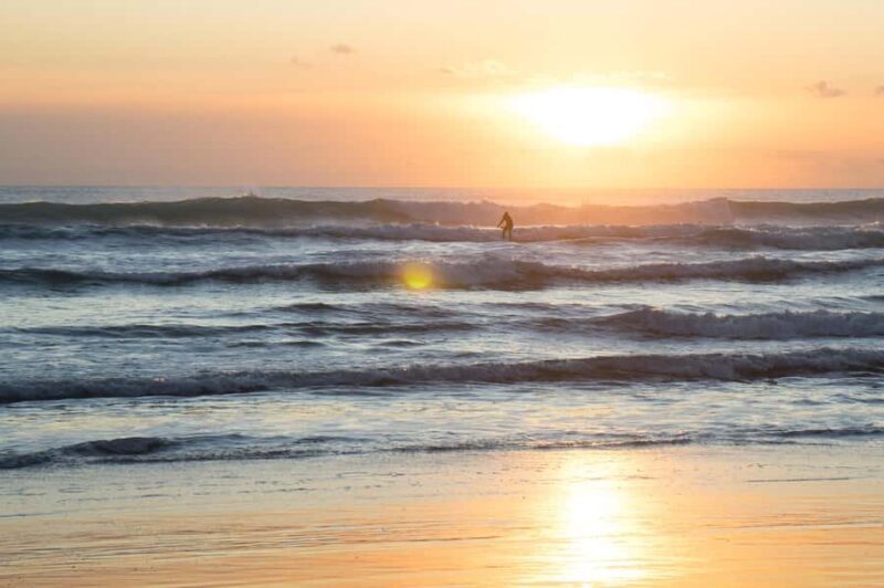 Auckland Private Tour: West Coast Wilderness & Piha Beach - Auckland Private Tour: West Coast Wilderness & Piha Beach