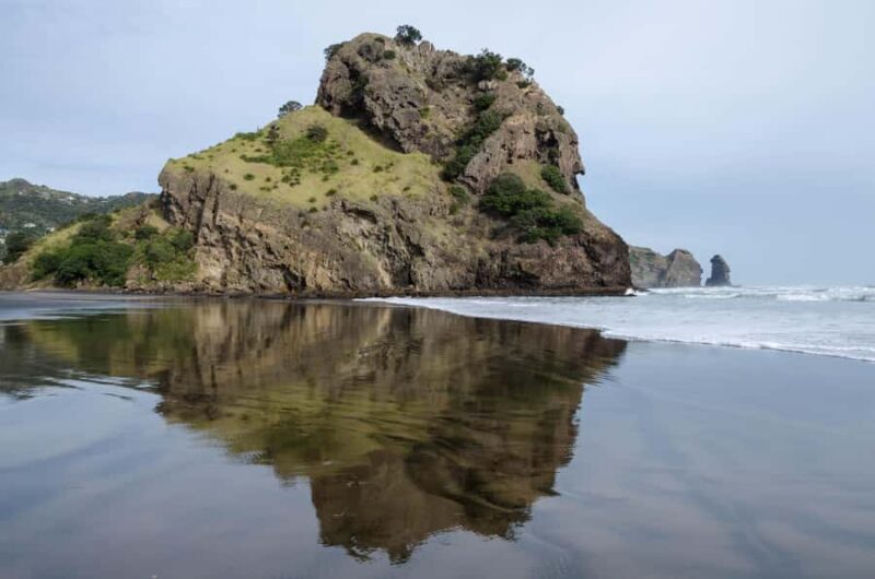 Auckland Private Tour: West Coast Wilderness & Piha Beach - The Benefits of a Private, Flexible Tour