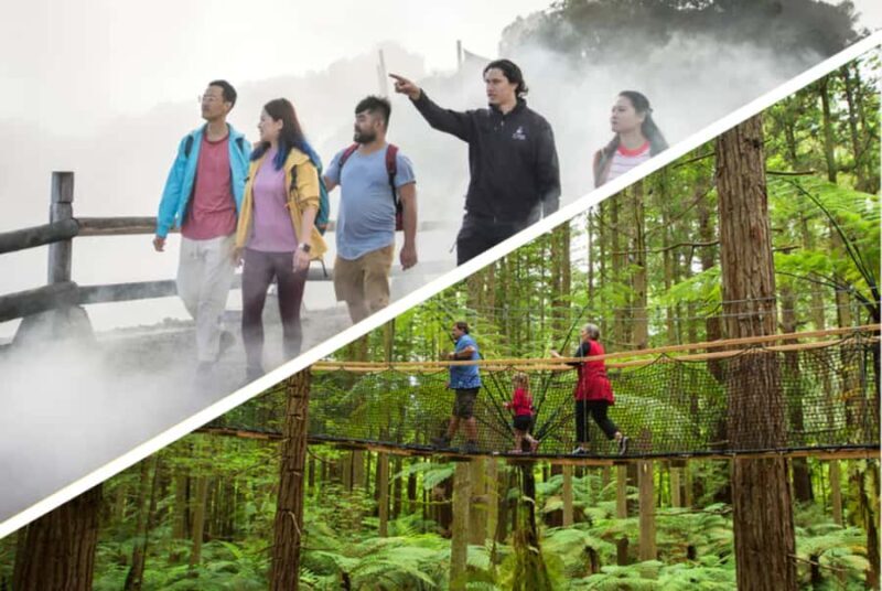 Auckland: Rotorua Highlights inc Te Puia Tour & Redwoods - Practical Info and Considerations