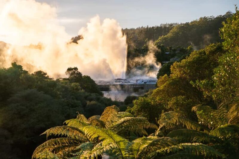 Auckland: Rotorua Highlights inc Te Puia Tour & Redwoods - Who Should Consider This Tour?