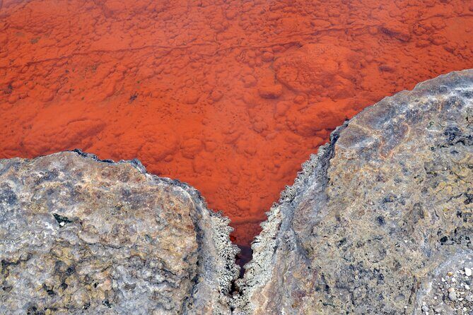 Auckland: Rotorua Tour with Waiotapu, Te Puia and Maori Haka - Who Is This Tour Best Suited For?