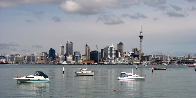 Auckland Scenic Half-Day City Sightseeing Tour - What Travelers Say