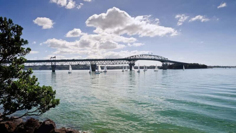 Auckland Scenic Half-Day City Sightseeing Tour - Who Should Consider This Tour?