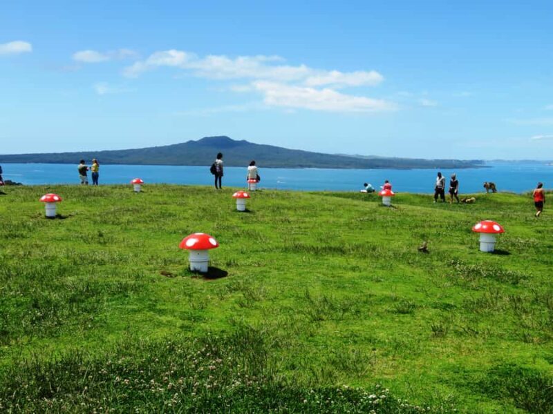 Auckland: Segway Tour to Mount Victoria - The Value of the Experience