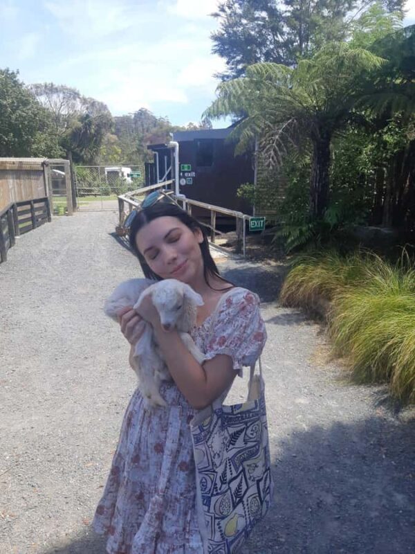 Auckland: Sheepworld, Honey Centre, & Kauri Trail Tour - Who Will Love This Tour?