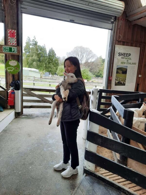 Auckland: Sheepworld, Honey Centre, & Kauri Trail Tour - Final Thoughts