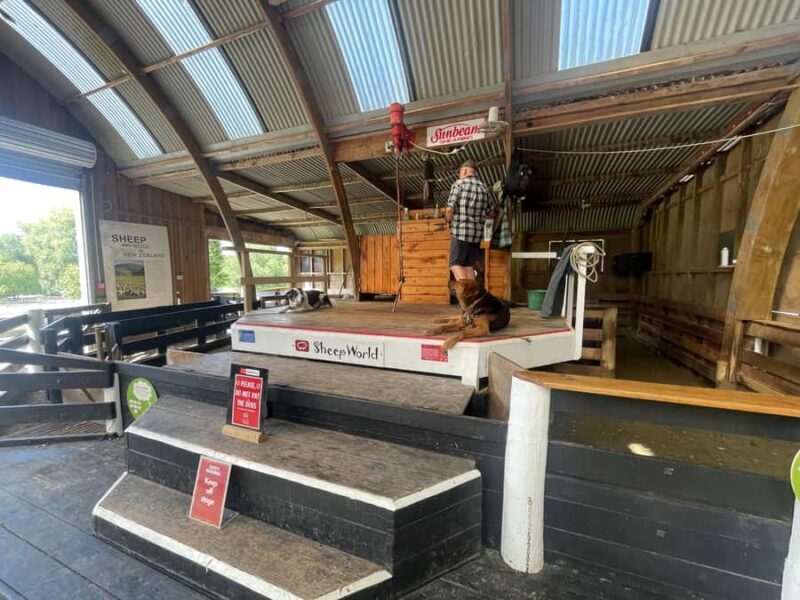 Auckland: Sheepworld, Honey Centre, & Kauri Trail Tour - FAQ