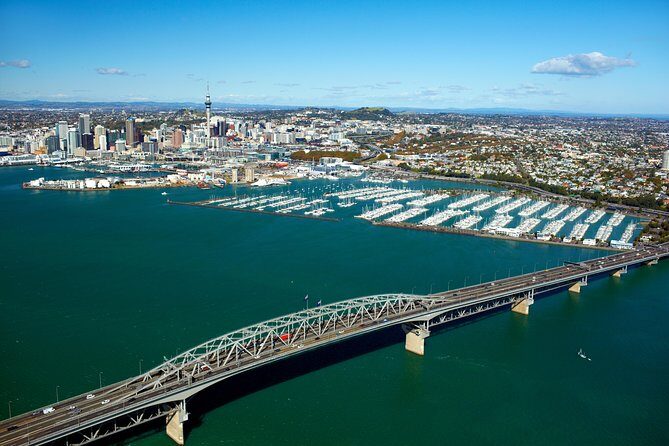 Auckland Shore Excursion: Half-Day Guided City Tour - What to Expect from Your Auckland Shore Excursion