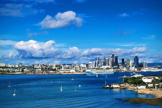 Auckland Sightseeing Half Day Tour - The Sum Up