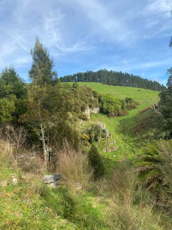 Auckland: Spellbound Glowworm Caves Explorer Tour - Final Thoughts