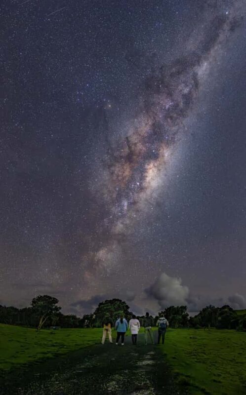 Auckland (Tawharanui): Wild Kiwi Bird Spotting Encounter - Key Points