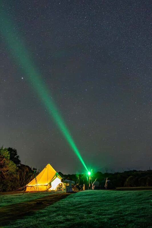 Auckland (Tawharanui): Wild Kiwi Bird Spotting Encounter - The Real Deal: What the Reviews Say