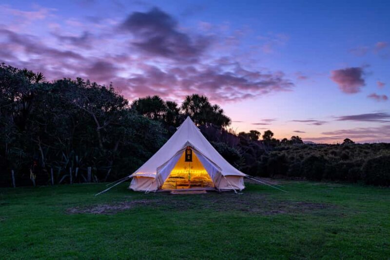 Auckland (Tawharanui): Wild Kiwi Bird Spotting Encounter - Who This Tour Is Perfect For