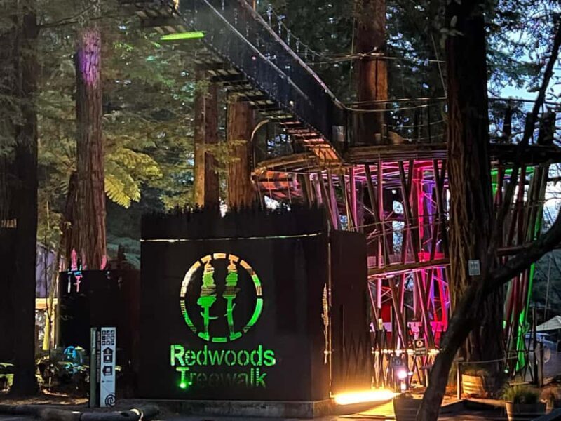 Auckland: TE PUIA Rotorua, Redwood & Blue Springs Day Tour - Who Is This Tour Best For?