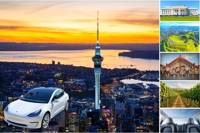 Auckland: Tikapa Moana Dolphin, Whale and Island Cruise - FAQs