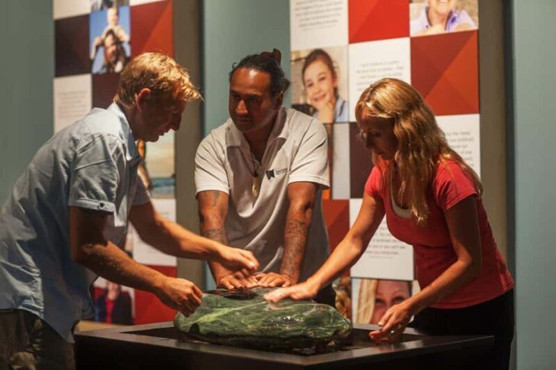 Auckland to Paihia via West Coast Small Group Tour (One Way) - Pricing and Value