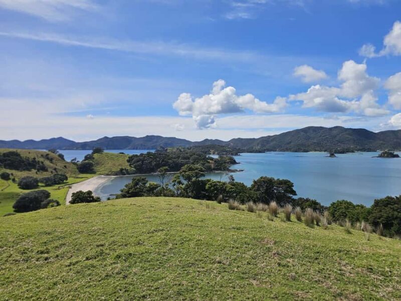 Auckland to Paihia via West Coast Small Group Tour (One Way) - FAQs