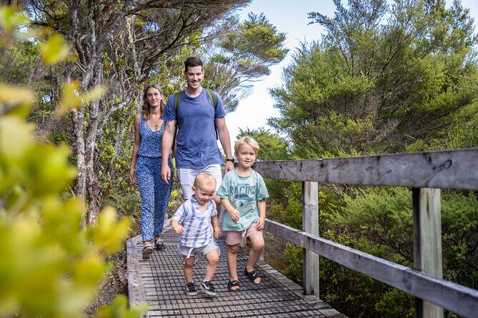 Auckland to Rangitoto Island Ferry - FAQs