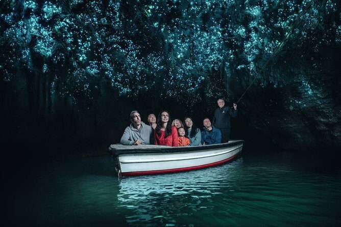 Auckland to Rotorua via Waitomo Caves Small Group Tour (One Way) - Key Points