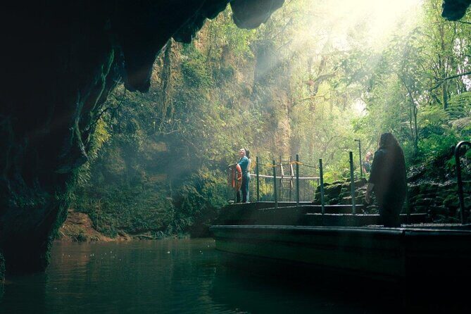 Auckland to Rotorua via Waitomo Caves Small Group Tour (One Way) - The Itinerary in Detail