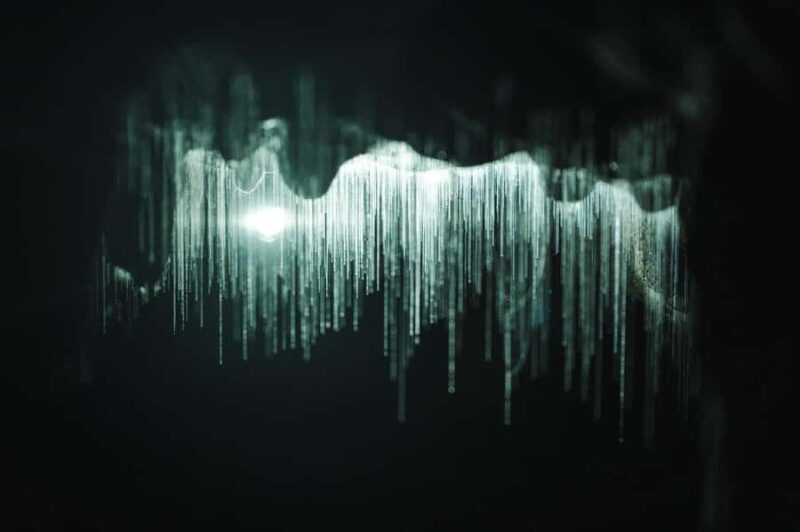 Auckland: Waitomo Caves & Rotorua - Te Puia Small-Group Tour - FAQs