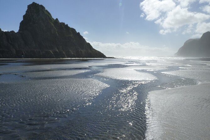 Auckland West Coast Rainforest and Beach Tour - What This Tour Offers: A Deep Dive
