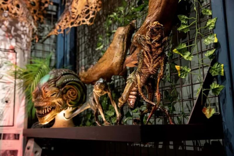 Auckland: Wt Workshop Unleashed Guided Tour Ticket - FAQs