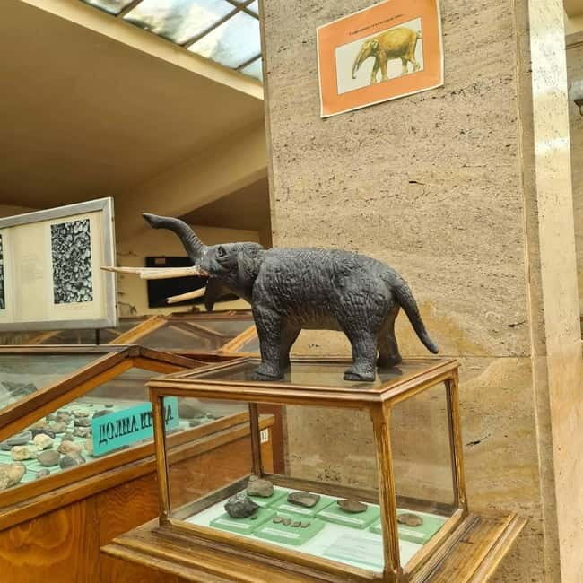 Audio Guide for Museum Paleontology and Historical Geology - What to Expect from Your Visit