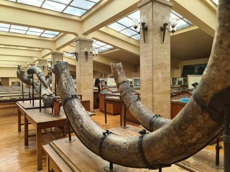 Audio Guide for Museum Paleontology and Historical Geology - The Museum Collection and Additional Exhibits