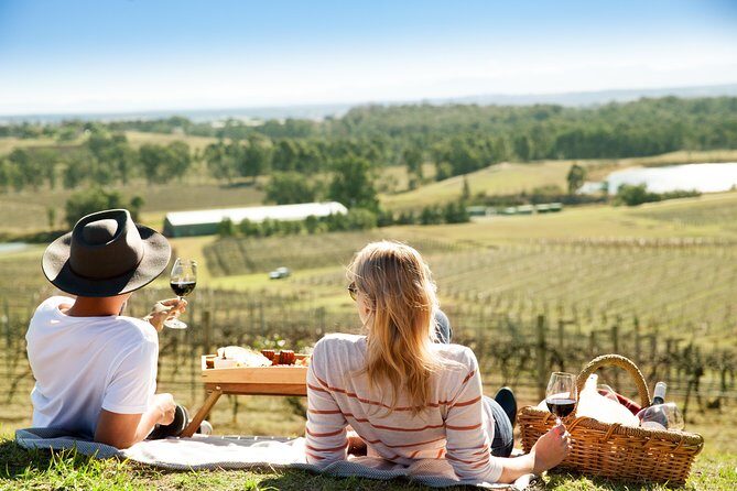 Audrey Wilkinson Vineyard: Picnic with Wine Masterclass Tasting - The Itinerary in Detail