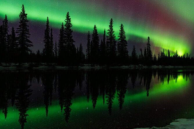 Aurora and Beyond Premiere Chase Adventure - The Experience from Reviews