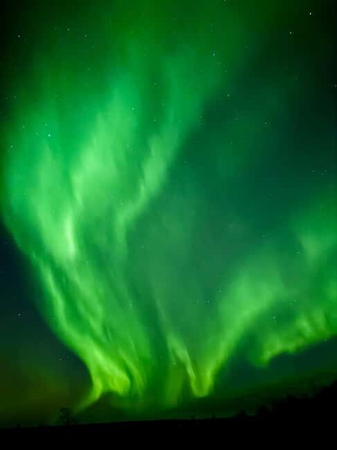 Aurora BBQ in the Private Place in Rovaniemi - Key Points