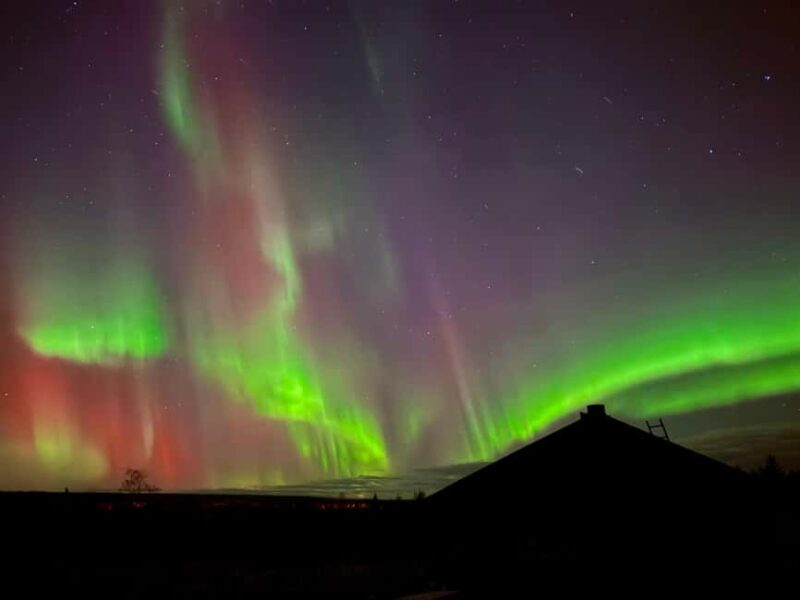 Aurora BBQ in the Private Place in Rovaniemi - What Past Guests Say